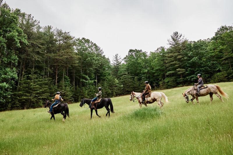 Primland Resort, Auberge Resorts Collection Meadows of Dan Esterno foto
