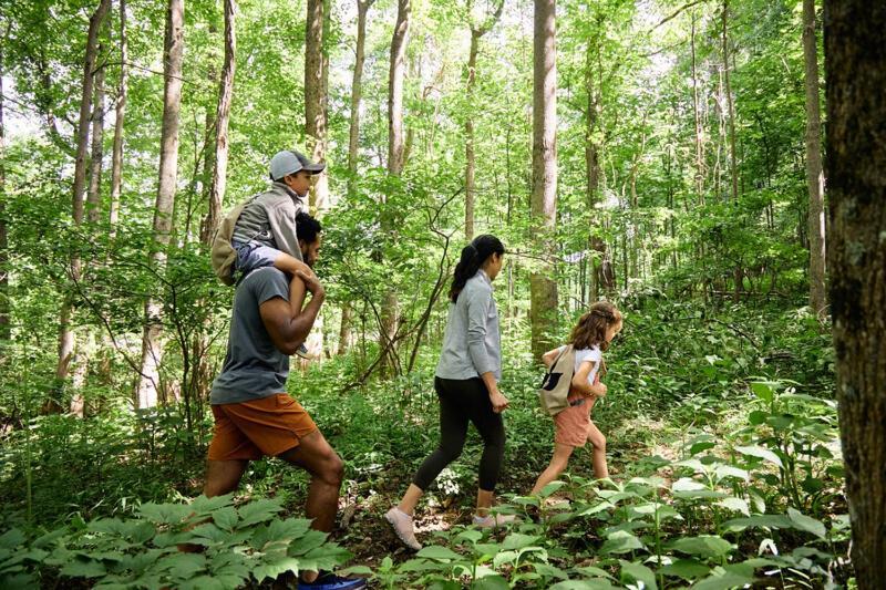 Primland Resort, Auberge Resorts Collection Meadows of Dan Esterno foto
